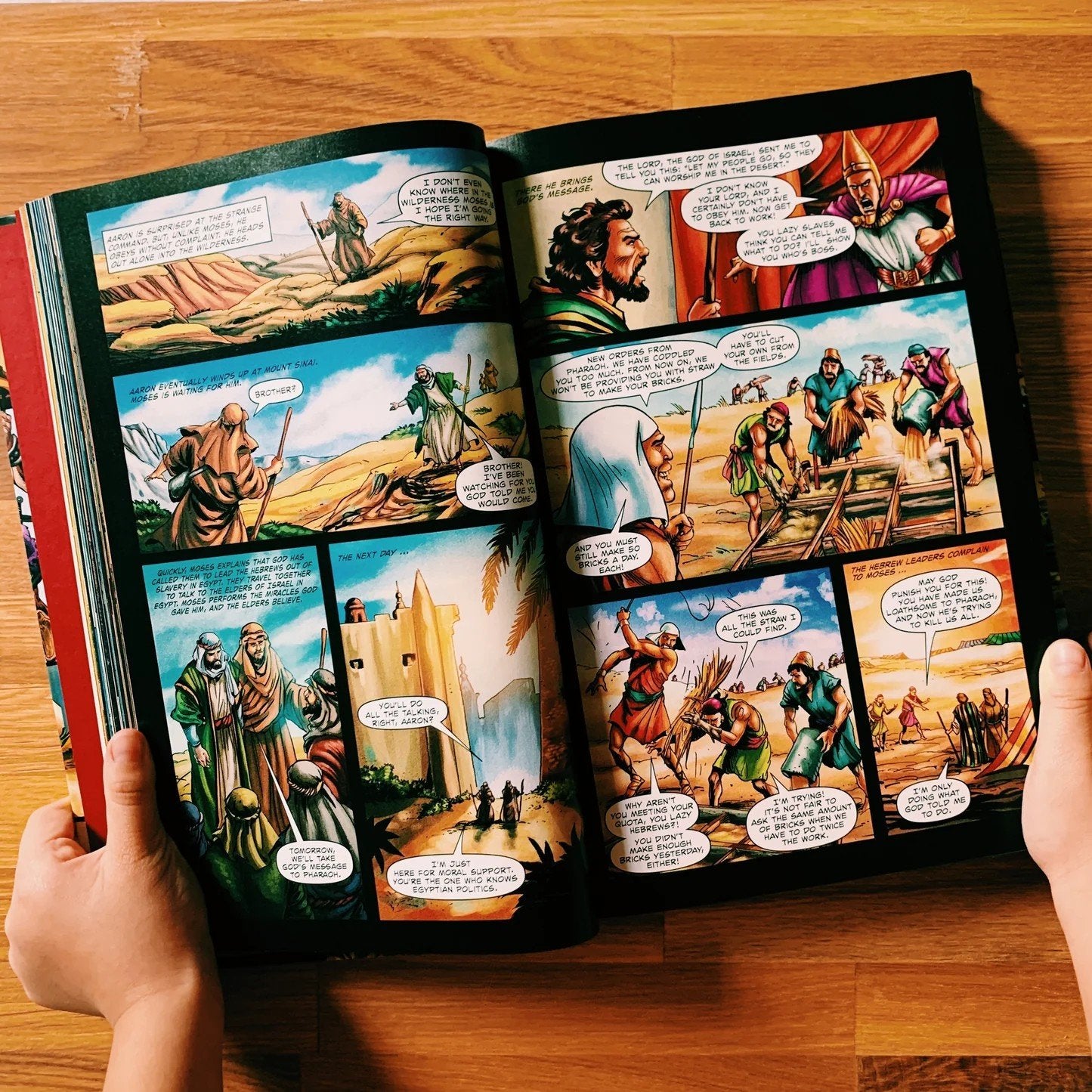 ⏰Last Day Promotion 49% OFF💖The Action Bible: God's Redemptive Story