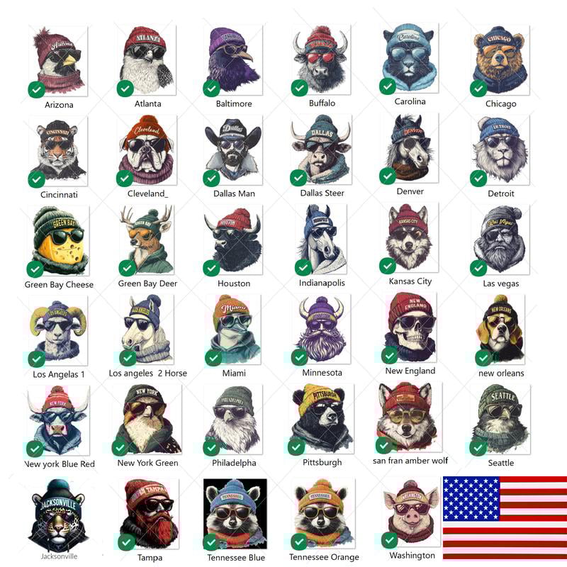 Spirit Animal Football Graphic Sweatshirts - City Animal Sports Pullover